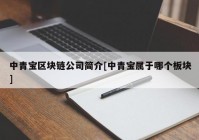 中青宝区块链公司简介[中青宝属于哪个板块]